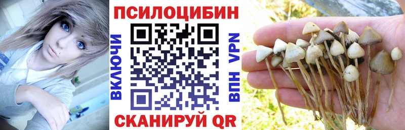 купить наркотик  Чулым  Галлюциногенные грибы ЛСД 